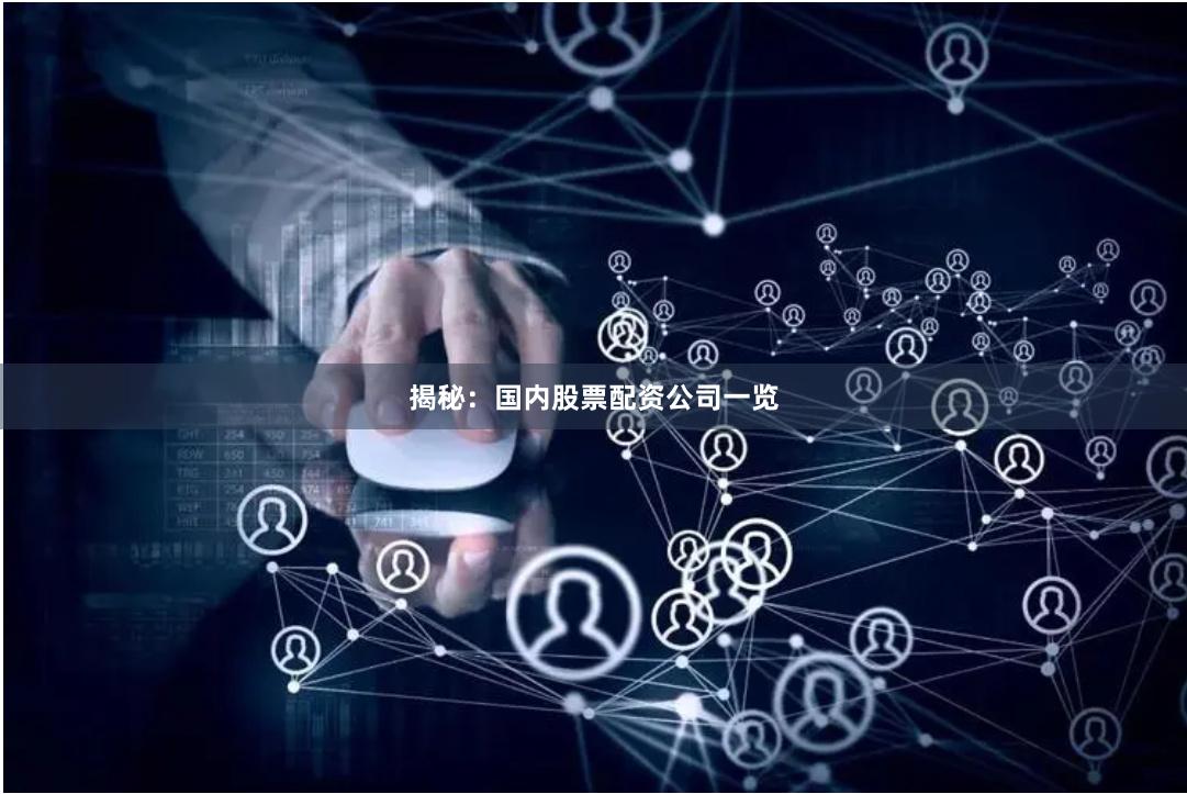 揭秘：国内股票配资公司一览